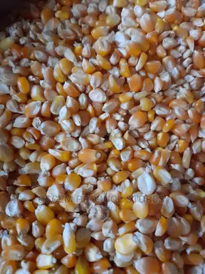 Pooping Corns