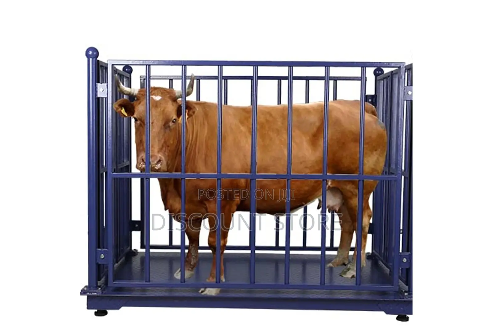 Genuine Cost Effective Weighing Scales for Animals