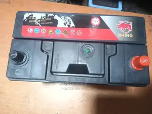 N40/36 Rhino Japan Standard Batteries
