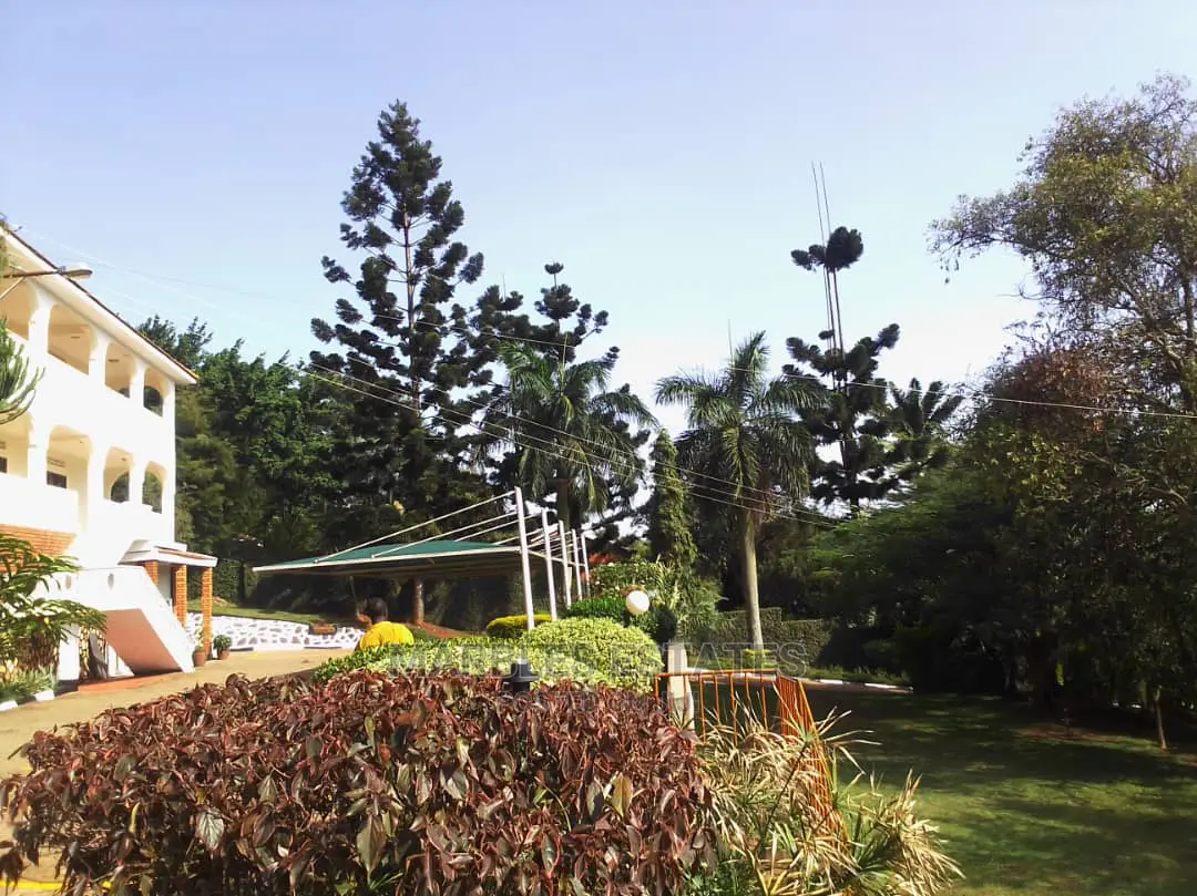 10bdrm House in Mbuya, Central Division for Rent