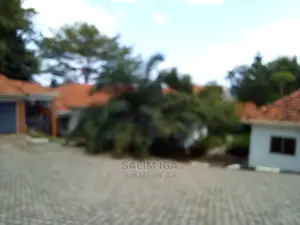 4bdrm Bungalow in Kololo Property, Central Division for Rent