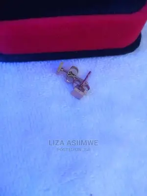 Simple Lady Earpins Available