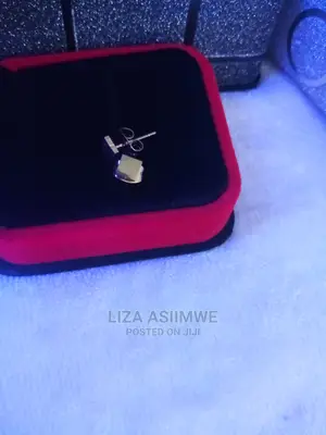 Simple Lady Earpins Available
