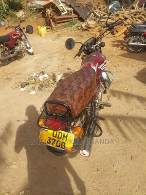 Bajaj Boxer 2019 Yellow
