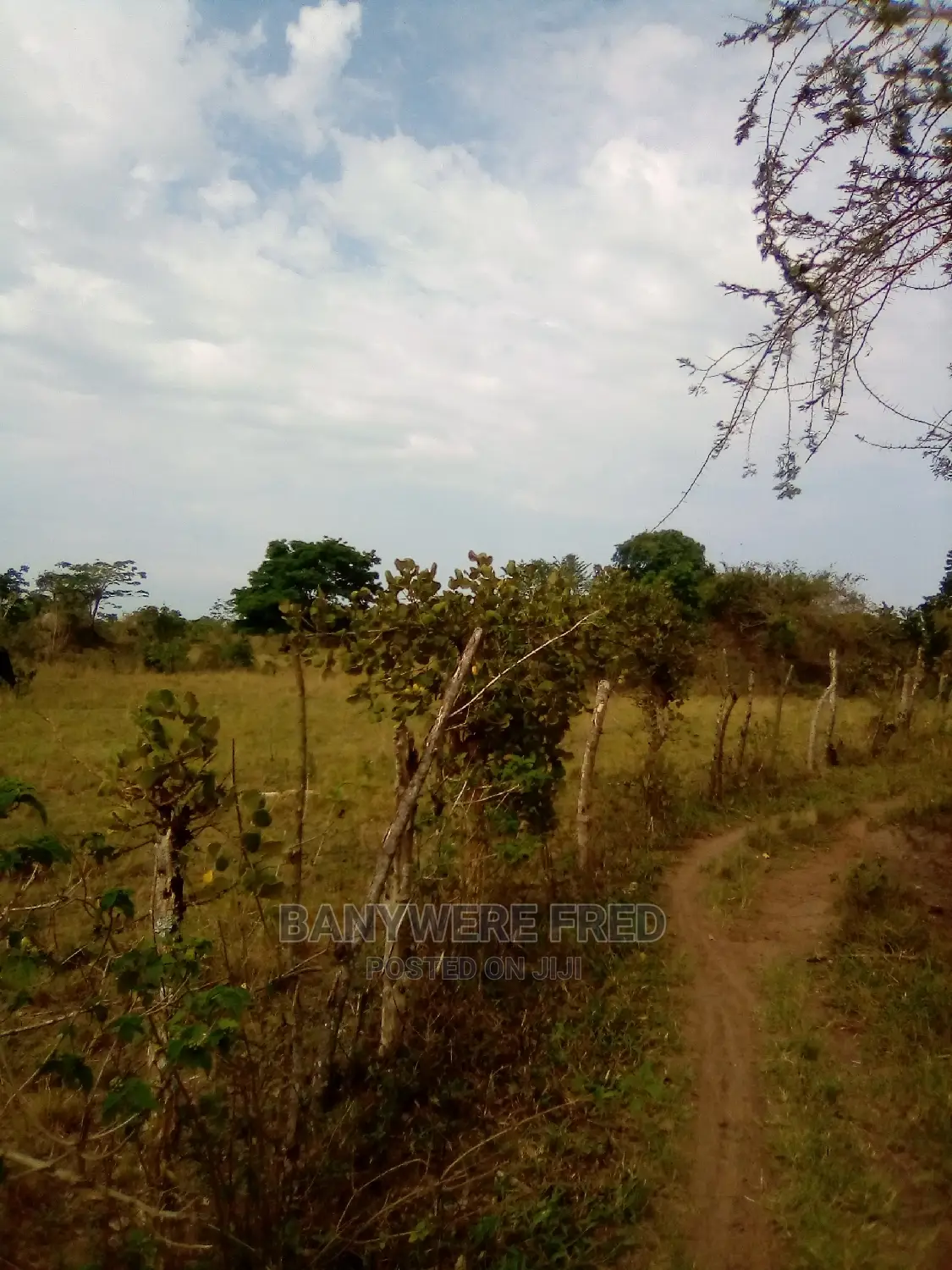 10acres of Farmland for Sale in Sebinyonyi