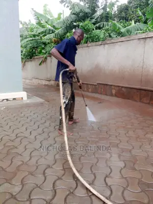Paver Cleaning