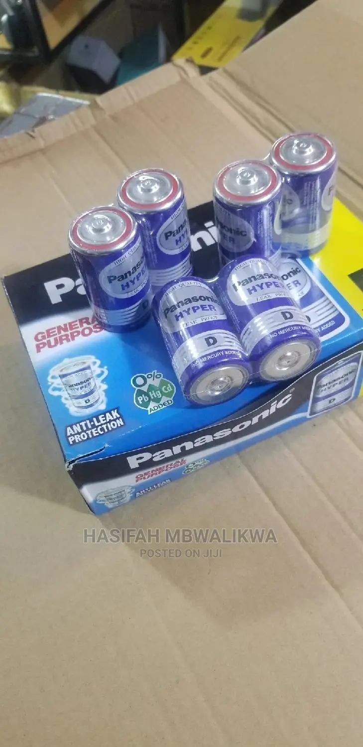 Panasonic Hyper Batteries Size D