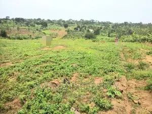 Plots for Sale at Matugga~Kiwebwa Estate Along Semuto Road