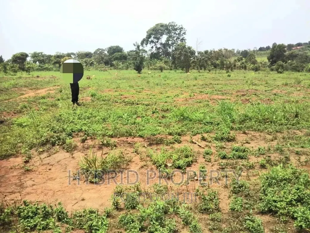 Plots for Sale at Matugga~Kiwebwa Estate Along Semuto Road