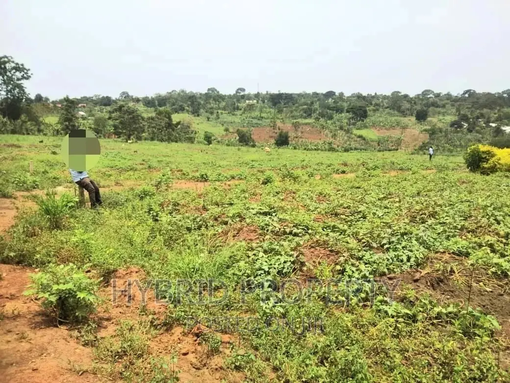 Plots for Sale at Matugga~Kiwebwa Estate Along Semuto Road