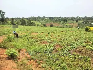 Plots for Sale at Matugga~Kiwebwa Estate Along Semuto Road
