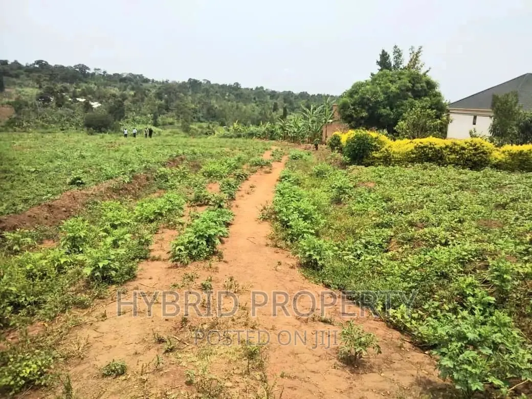 Plots for Sale at Matugga~Kiwebwa Estate Along Semuto Road