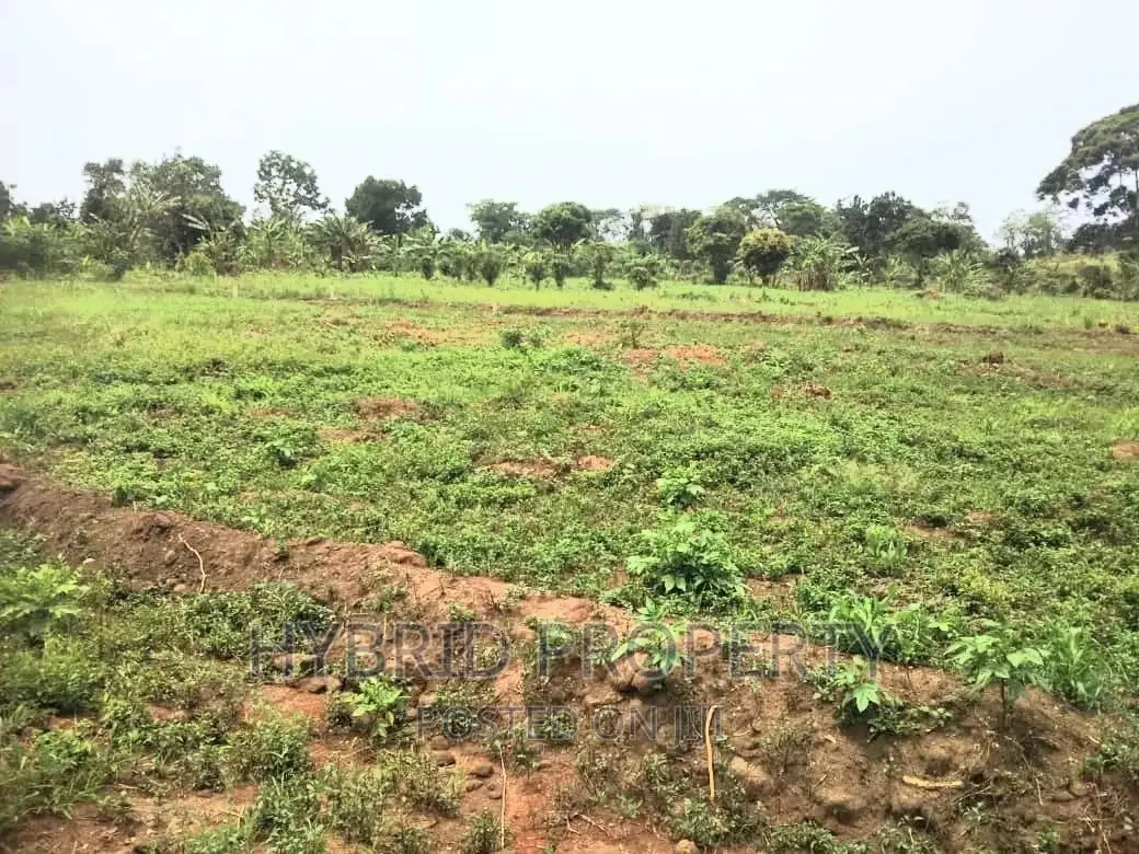 Plots for Sale at Matugga~Kiwebwa Estate Along Semuto Road