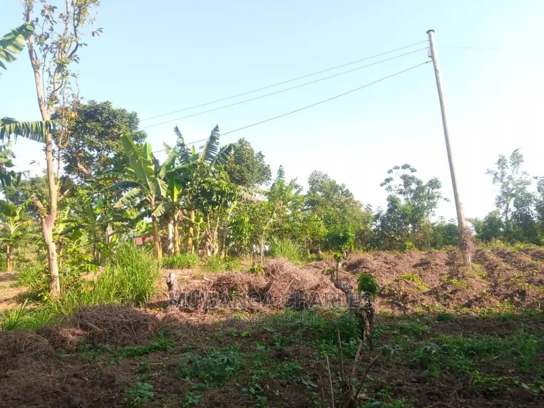 100by50ft Plot for Sale in Kira