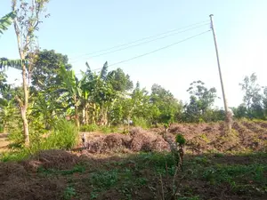 100by50ft Plot for Sale in Kira