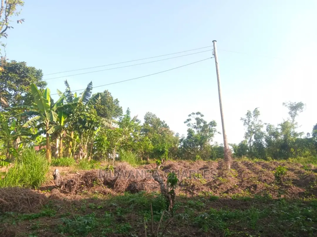 100by50ft Plot for Sale in Kira