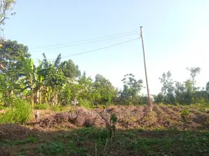 100by50ft Plot for Sale in Kira