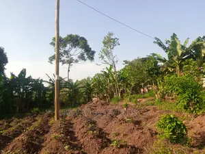 100by50ft Plot for Sale in Kira