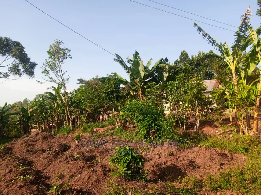 100by50ft Plot for Sale in Kira