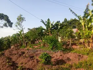 100by50ft Plot for Sale in Kira