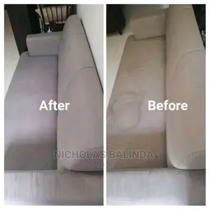 2 Seat Sofa Cleaning It Shows Before and After