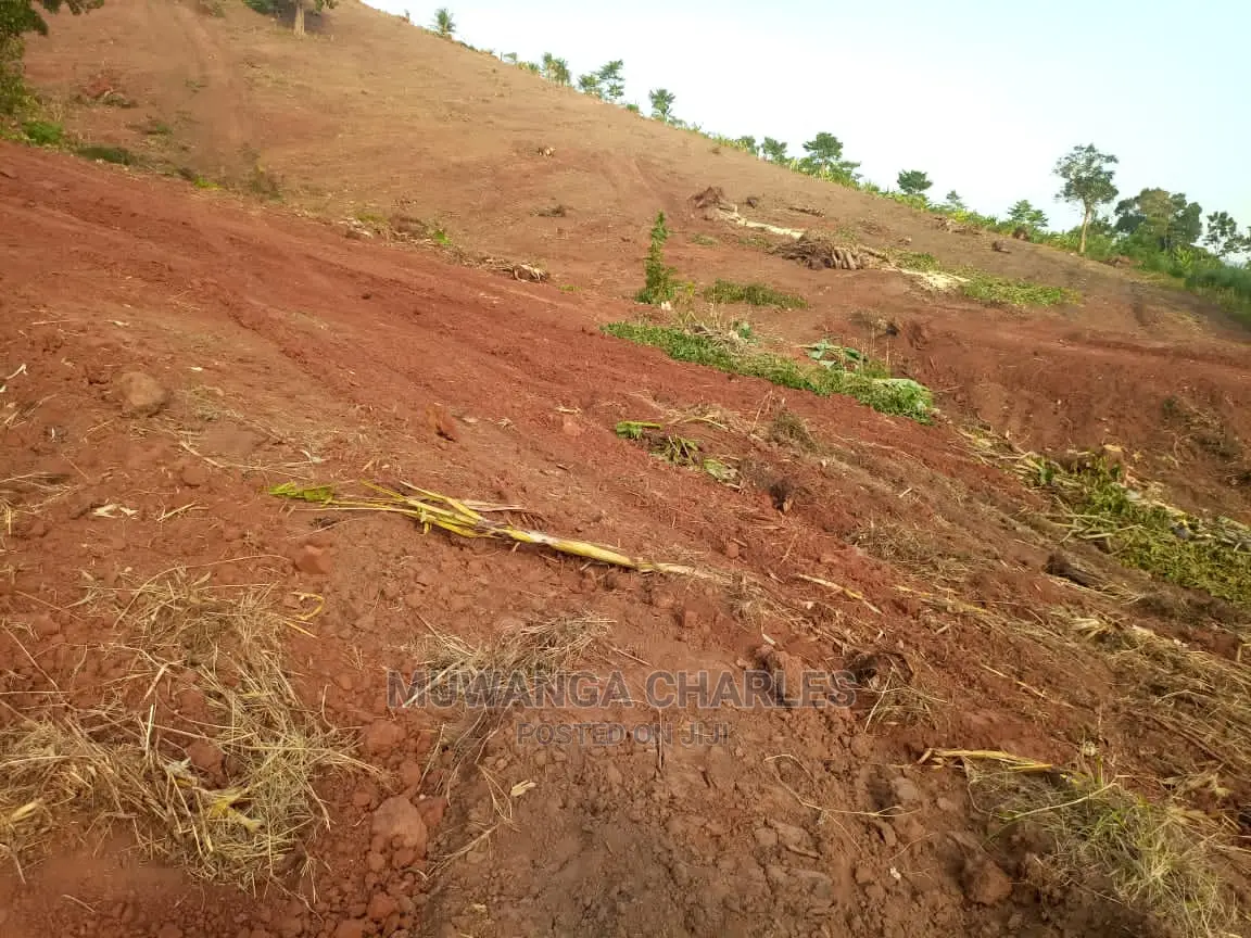 100by50ft Plot of Land for Sale in Nakwero