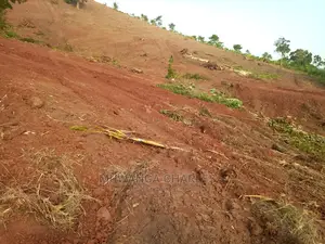 100by50ft Plot of Land for Sale in Nakwero