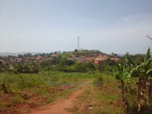 100by50ft Plot of Land for Sale in Nakwero