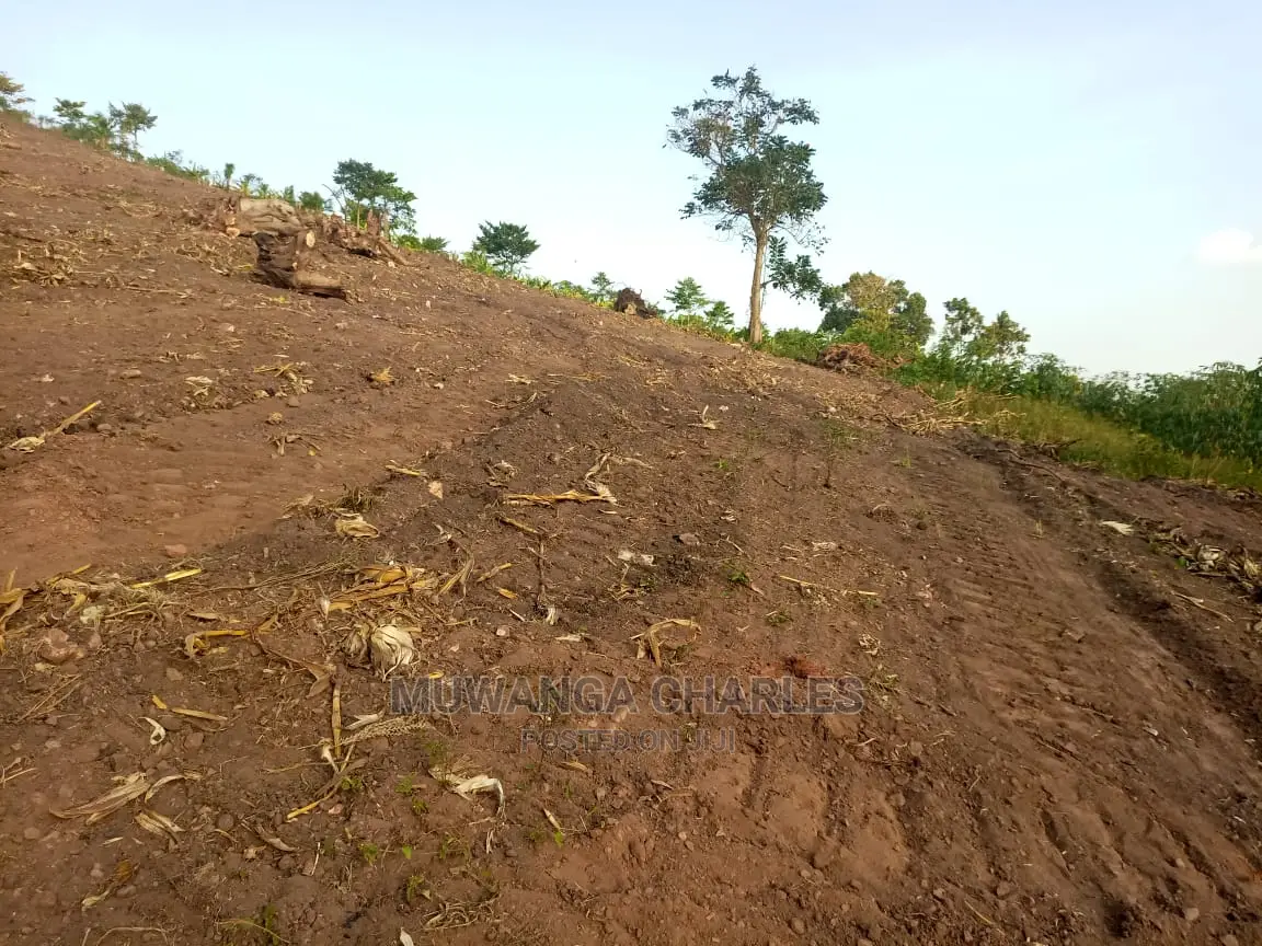 100by50ft Plot of Land for Sale in Nakwero