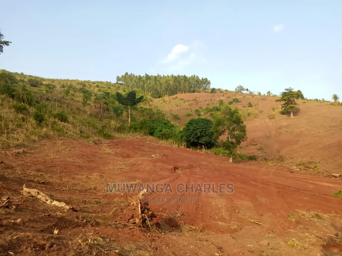 100by50ft Plot of Land for Sale in Nakwero