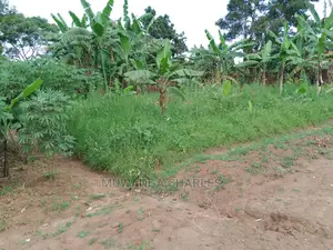 100by50ft of Land for Sale in Gayaza Nakwero