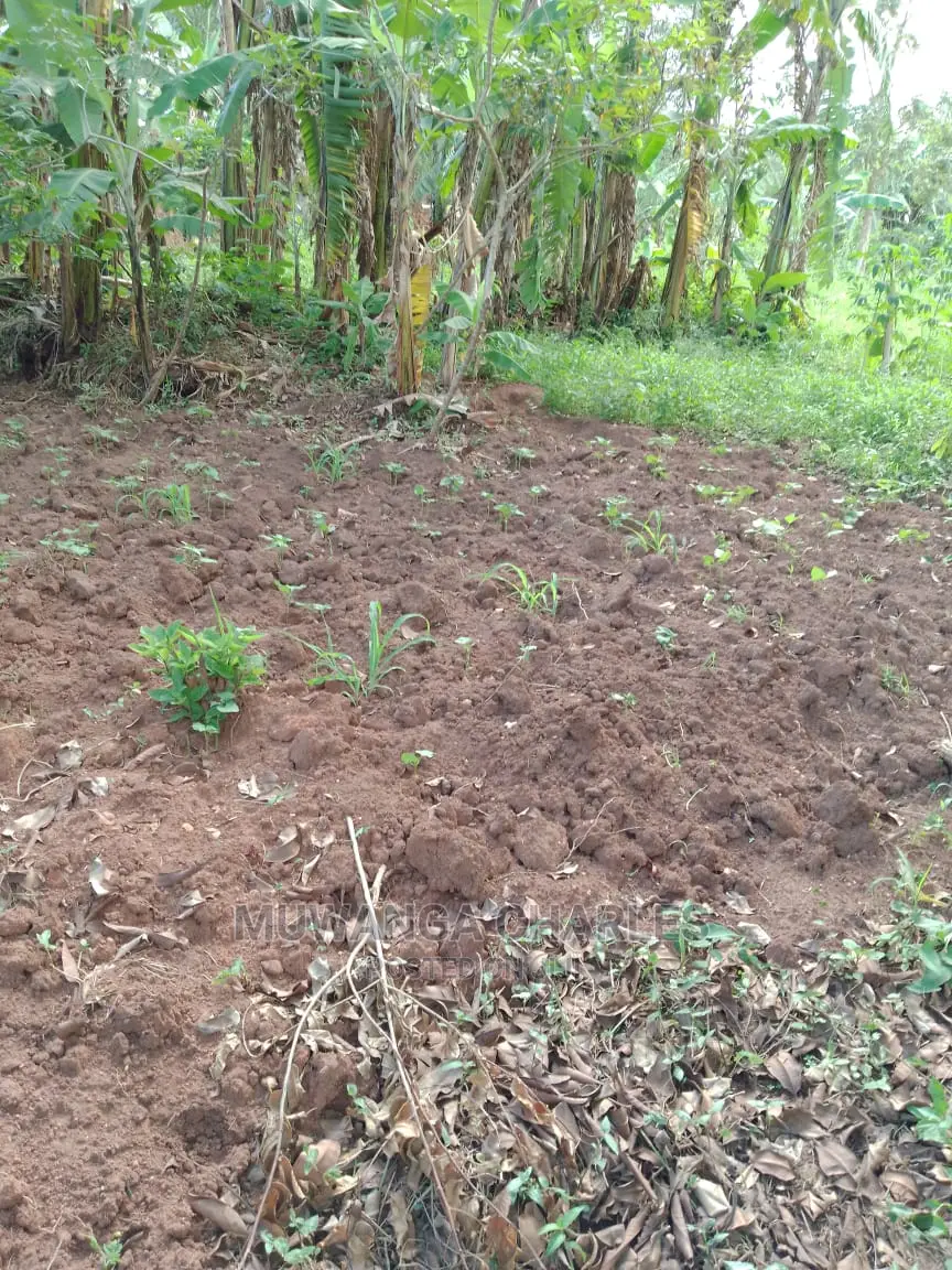 100by50ft of Land for Sale in Gayaza Nakwero