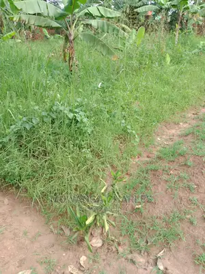 100by50ft of Land for Sale in Gayaza Nakwero