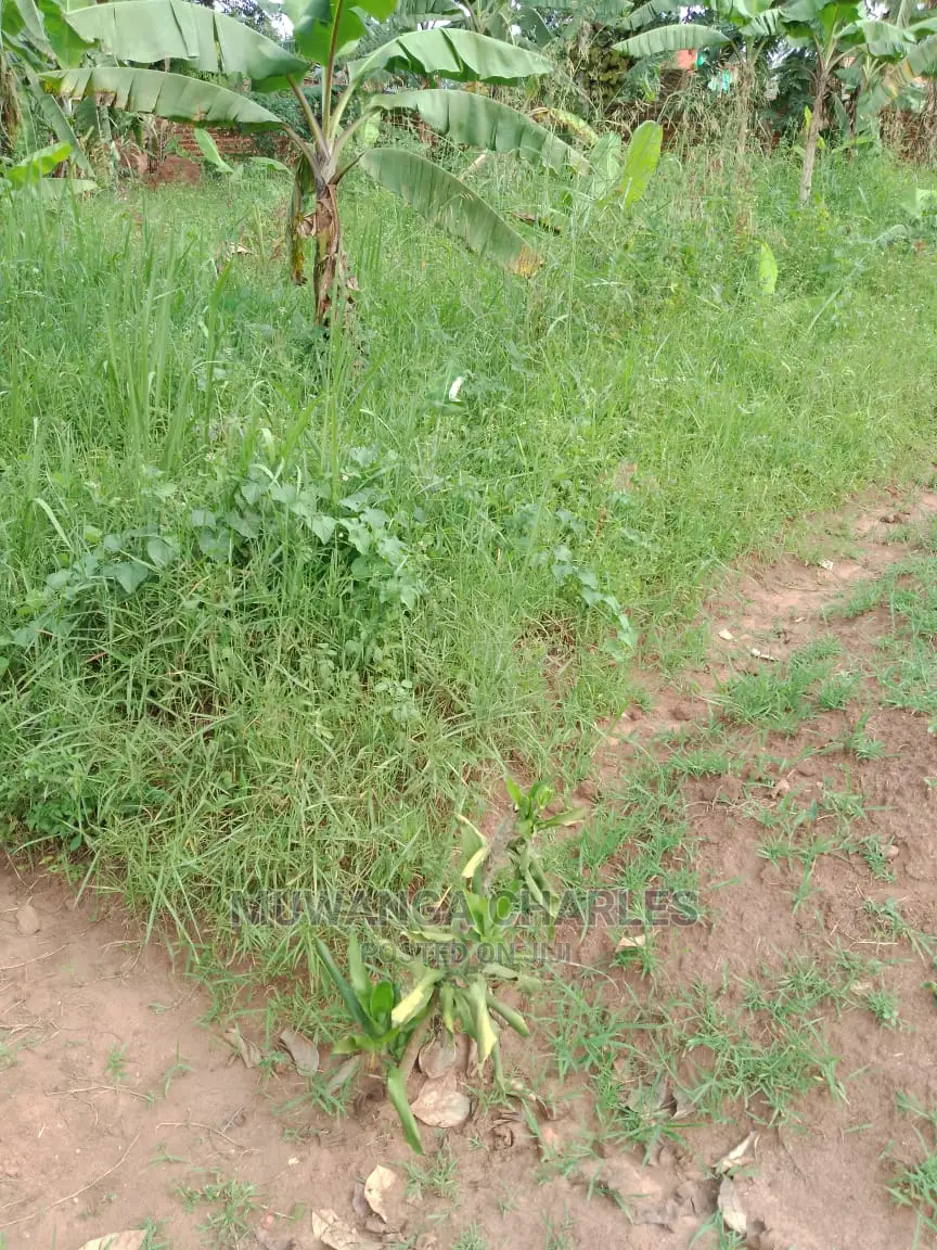 100by50ft of Land for Sale in Gayaza Nakwero
