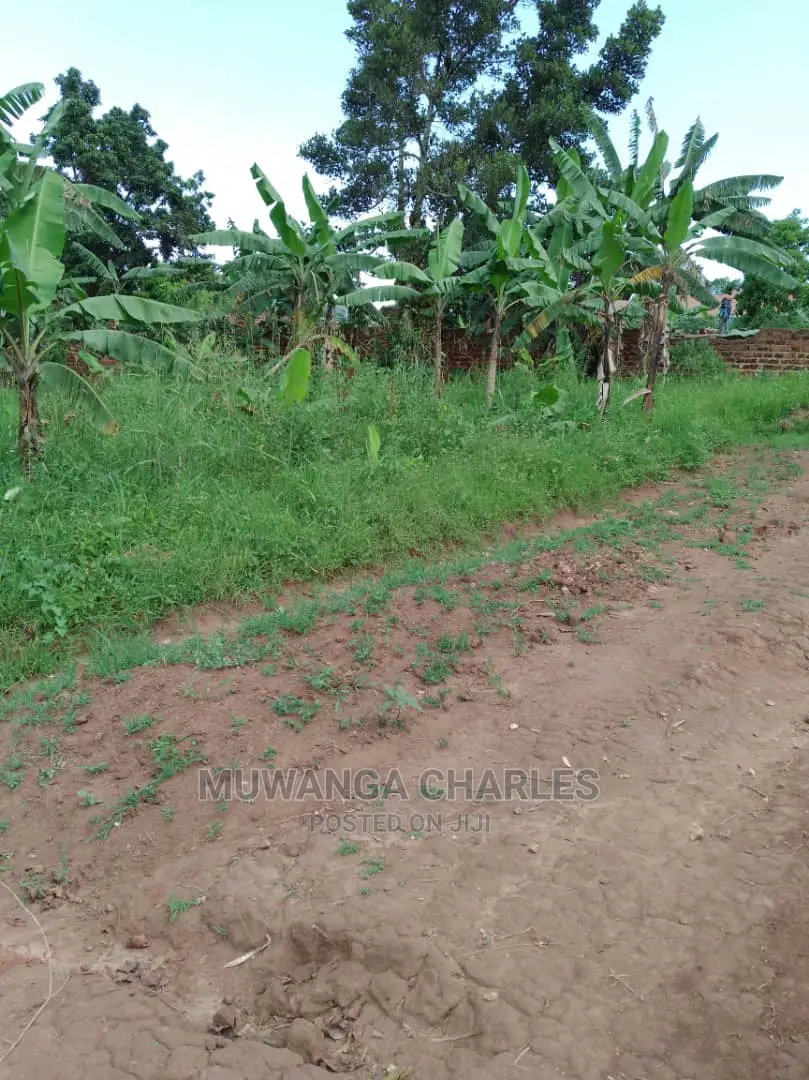 100by50ft of Land for Sale in Gayaza Nakwero