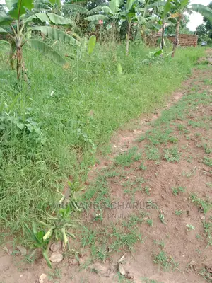 100by50ft of Land for Sale in Gayaza Nakwero