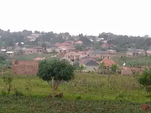 100by50ft for Sale in Kira Mulawa