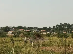 100by50ft Plot of Land for Sale in Kira