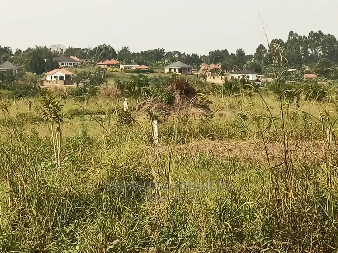 100by50ft Plot of Land for Sale in Kira