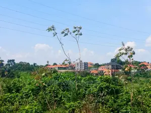 100by50ft for Sale in Namugongo Sonde