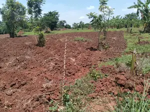 5acres of Land for Sale in Wabutungulu