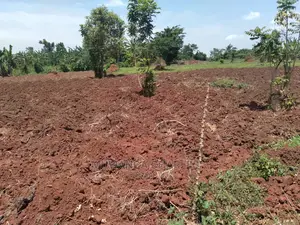 5acres of Land for Sale in Wabutungulu