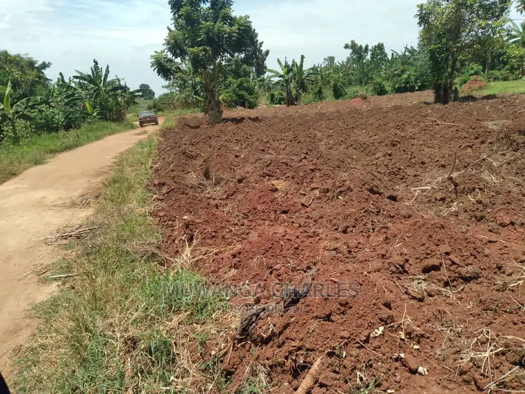 5acres of Land for Sale in Wabutungulu