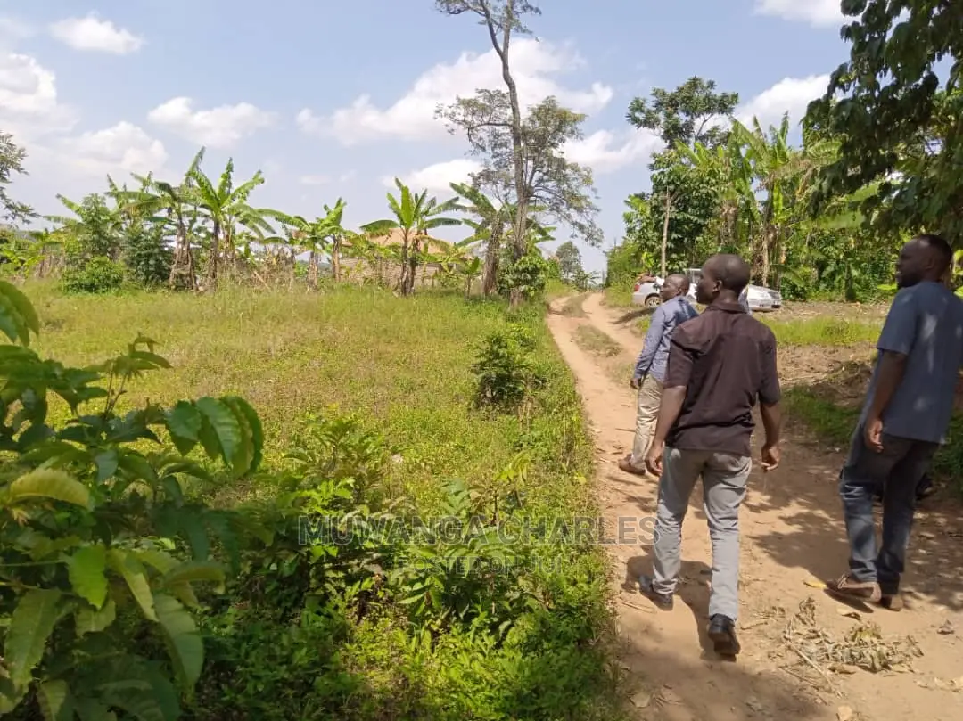5acres of Land for Sale in Wabutungulu