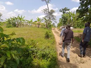 5acres of Land for Sale in Wabutungulu