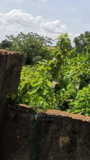100by100ft Plot of Land for Sale in Buwate