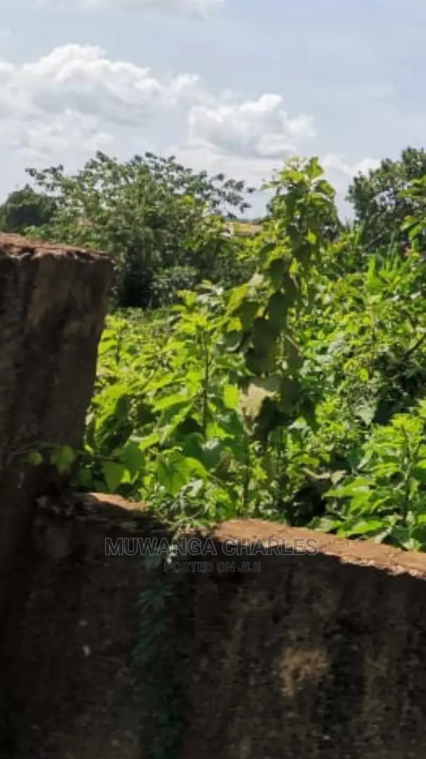 100by100ft Plot of Land for Sale in Buwate