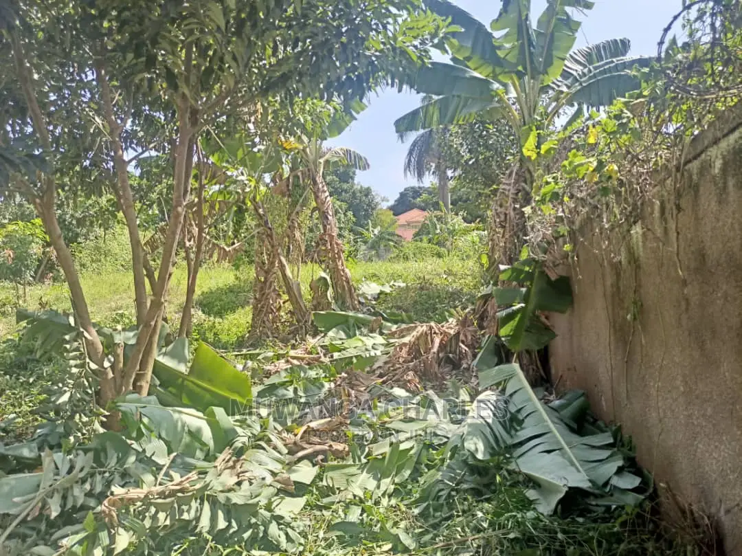 100by70ft Plot for Sale in Kyanja Kungu