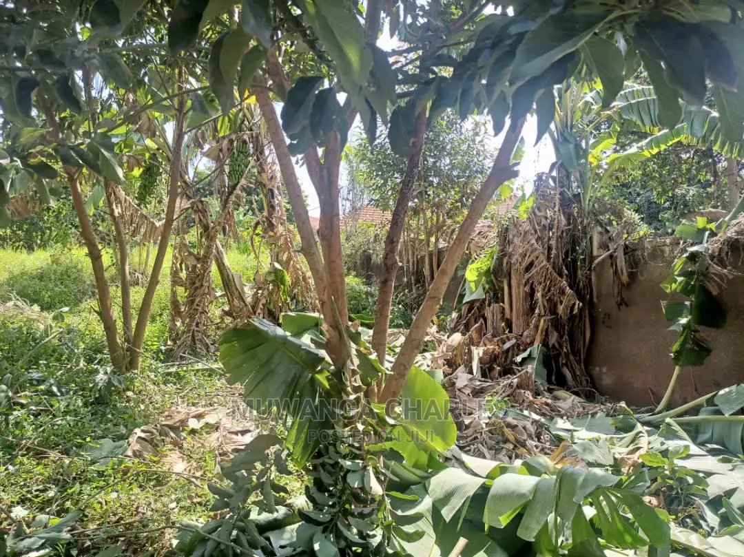 100by70ft Plot for Sale in Kyanja Kungu