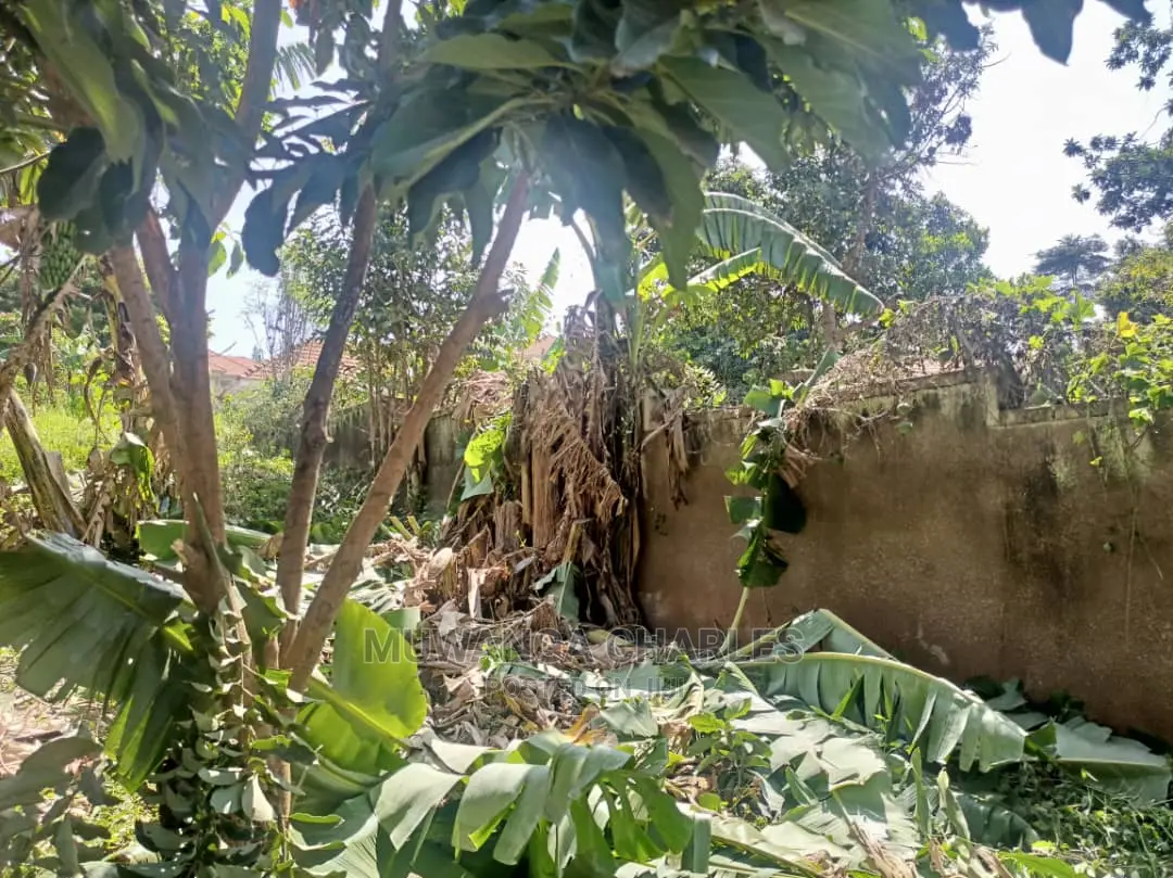 100by70ft Plot for Sale in Kyanja Kungu